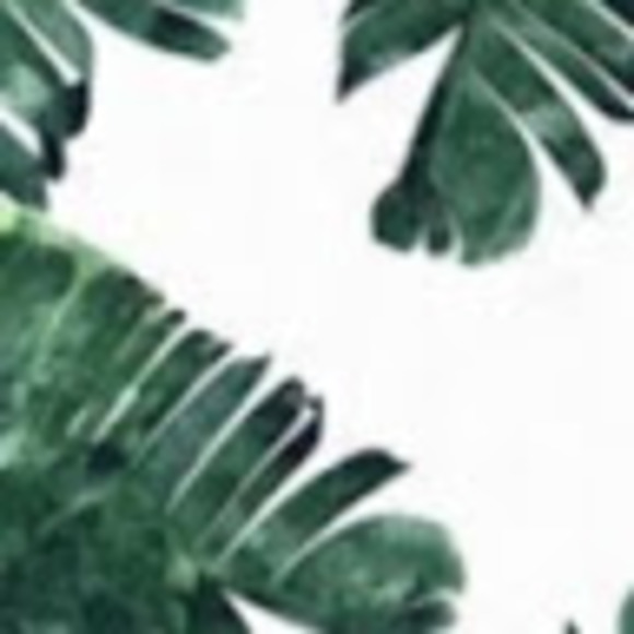 Meet your Posher, Lillian - Picture 1 of 1